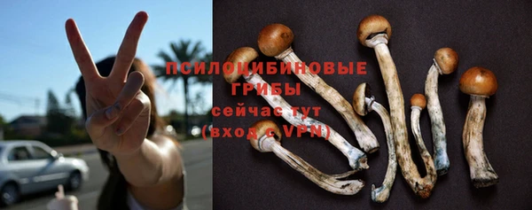 таблы Мегион