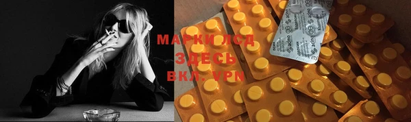 меф Майский