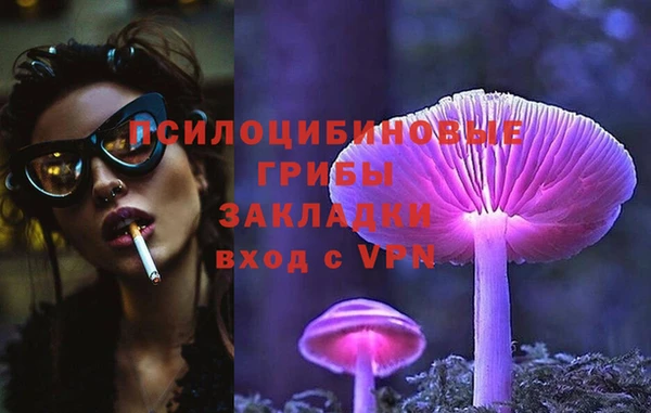 спайс Магас