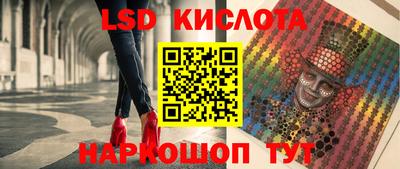 тгк Бийск