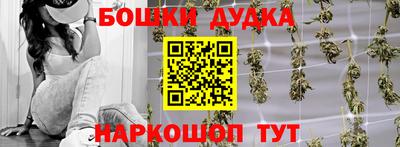 тгк Бийск