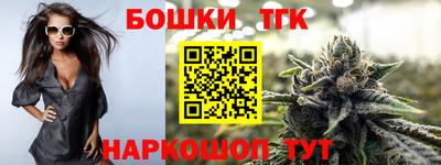 тгк Бийск