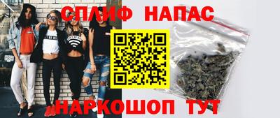 тгк Бийск