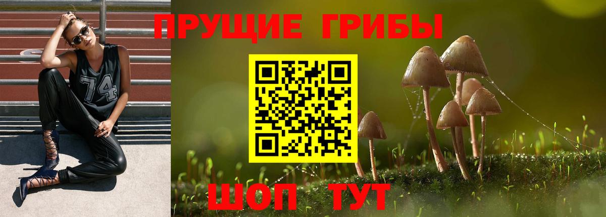 Галлюциногенные грибы GOLDEN TEACHER  Вход с VPN  Рославль 