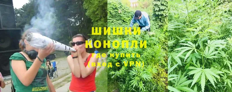 магазин    Рославль  Шишки марихуана Ganja 